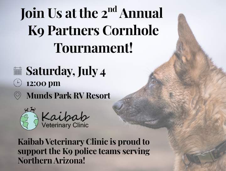 Join Us at the 2nd Annual K9 Partners Cornhole Tournament!